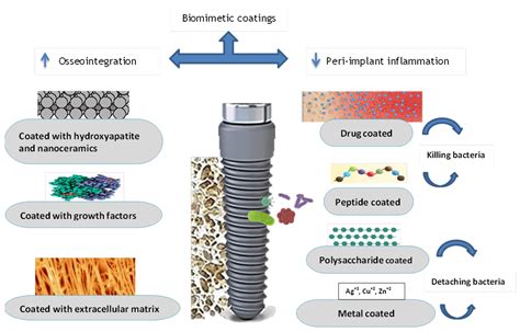  El Etilvinilacetato: Un Material Imperdible para la Ingeniería Tisular y los Implantes Dentales!