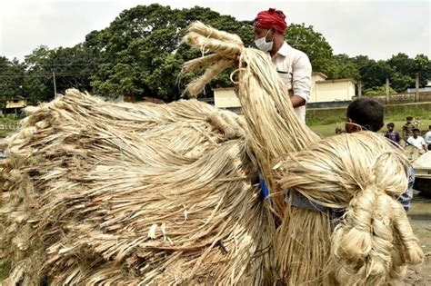  ¿Justifying the Usage of Jute Fibers in Modern Composites: A Deep Dive into This Sustainable Wonder?