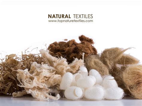  ¡Wool: Explorando las Fibras Naturales de Alta Calidad para la Producción Textil!